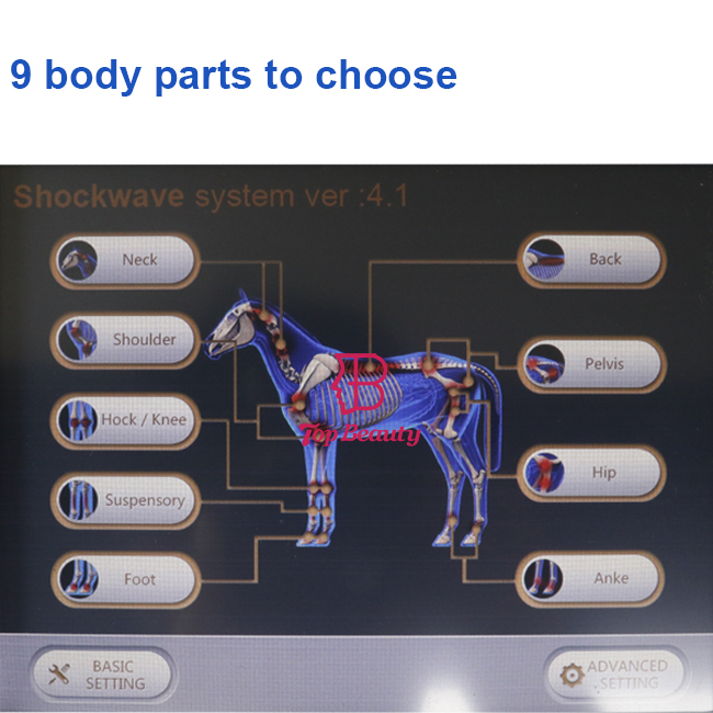 Terapia Equina por Onda de Choque Cuidados de Saúde Pet Produtos de Saúde Animal por Onda de Choque Máquina