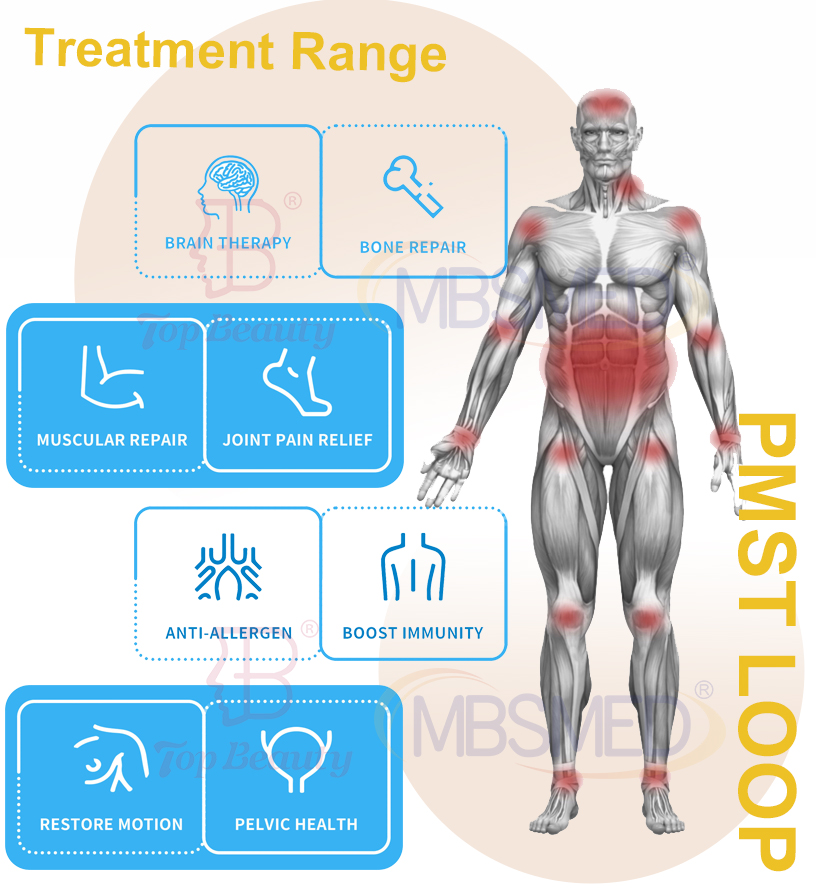 Máquina de Terapia Magneto Emtt Physio Portátil 2024 Fisioterapia Magneto para alívio da dor