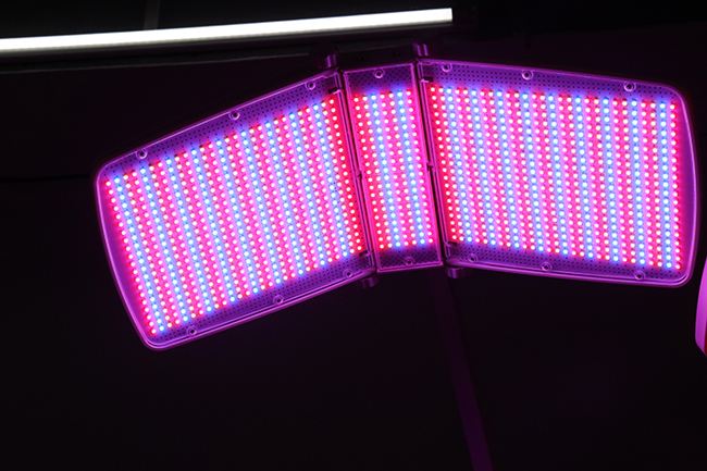 tratamento duplo plano terapia de luz facial com fótons PDT 7 Cores Terapia de Luz Facial LED Dispositivo de Beleza