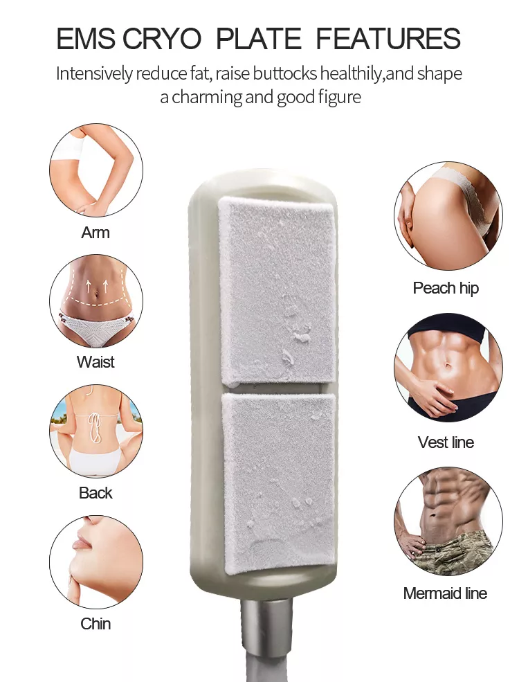 2023 Novo Cryolipólise Indolor para Emagrecimento da Barriga Placas de Resfriamento Cryo Almofadas de Congelamento de Gordura Máquina EMS