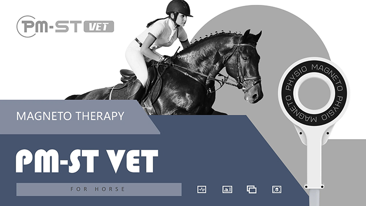 Terapia Magnética Extracorpórea Tratamento Magnético de Cavalos Pemf Fisioterapia Máquina de Cuidados com Animais