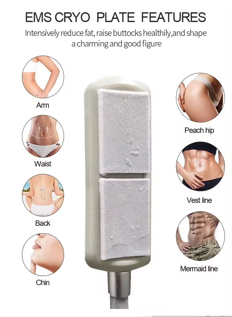 Almofadas de terapia Cryo Ems Placas de resfriamento Estimulação muscular eletrônica Máquina de escultura para emagrecimento corporal
