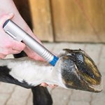 Terapia Equina por Onda de Choque Cuidados de Saúde Pet Produtos de Saúde Animal por Onda de Choque Máquina